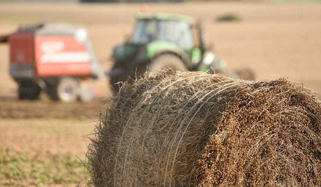 Chwytaki do bel – niezbędne wsparcie w nowoczesnym gospodarstwie
