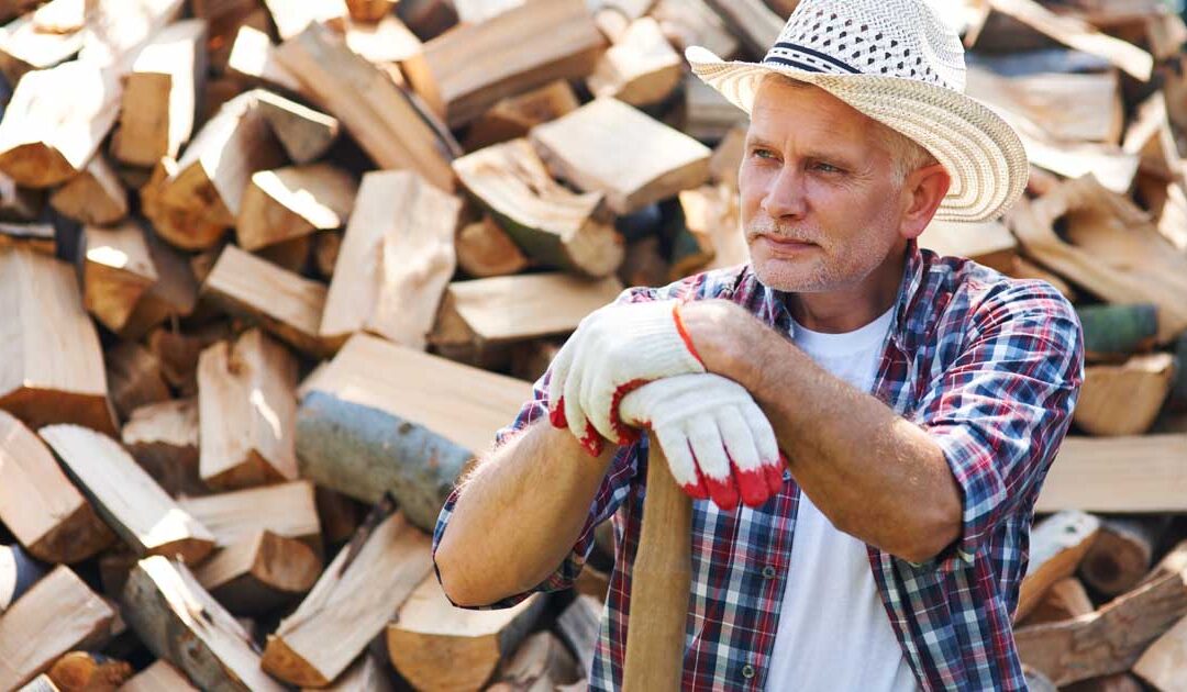 Łuparki do drewna montowane do ciągników – praktyczne rozwiązanie dla rolników
